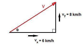 Asteamboat moves with velocity components of 6 km/hr along the x direction and 8 km/hr along the y d