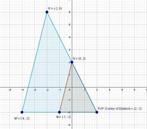 What will be the coordinates of vertex n' of the image?  (-2, 4) (-2, 6) (-4, 4) (-4, 8)