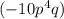 (-10p^{4}q)