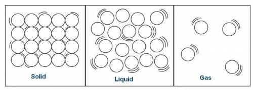 Compare and contrast the ease at which molecules are able to move relative to each other in the thre