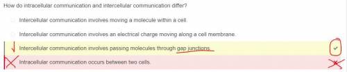 How do intracellular communication and intercellular communication differ?  intercellular communicat