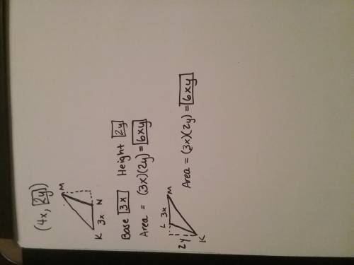 Fill in the blanks  giving brainliest to someone who can diagonal of a parallelogram partitions the