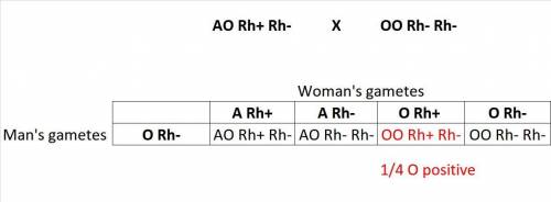 Rh factor is a gene with 2 alleles, rh positive, which is dominant to rh negative. the gene that cod