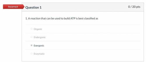 Areaction that can be used to build atp is best classified as  answer choices:  enzymatic endergonic