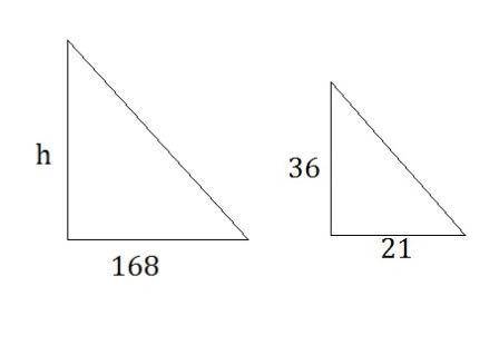 On a sunny day, if a 36-inch yardstick casts a 21-inch shadow, how tall is a tree whose shadow is 16