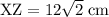 \rm XZ = 12\sqrt{2}\; cm