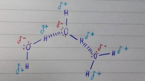 Raw three water molecules interacting with each other. indicate hydrogen-bonding with dashed lines.