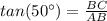 tan(50\°)=\frac{BC}{AB}