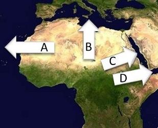 On the map above, which arrow is pointing to the red sea? a. arrow a b. arrow b c. arrow c d. arrow