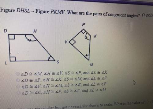 Hey friends its ! hope ur day is good. figure dhsl ~ figure pkmv. what are the pairs of congruent