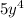 5y^4