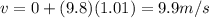 v=0+(9.8)(1.01)=9.9 m/s