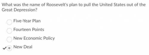 What was the name of roosevelt's plan to pull the united states out of the great depression?  a) fiv