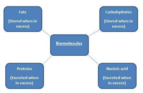 Which is a difference between proteins and carbohydrates and fats? a) proteins are macromolecules;