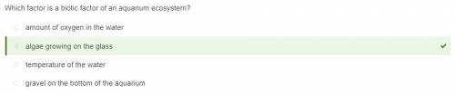 Which of these is an abiotic factor of an aquarium ecosystem?   a. algae growing on the glass b. gra