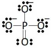 The total number of valence electrons in the phosphate ion is