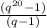 \frac{(q^{20}-1)}{(q-1)}