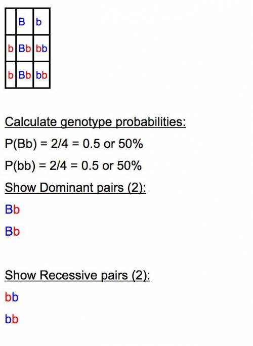 Awoman that is homozygous recessive (bb) for blue eyes and a man that is heterozygous (bb) for brown