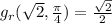g_{r}(\sqrt{2},\frac{\pi}{4})=\frac{\sqrt{2}}{2}