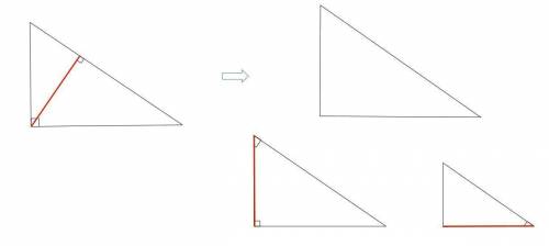 Use the diagram for questions 10 and 11