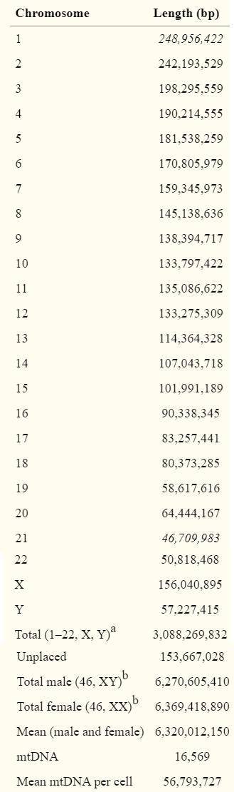 When we say the human genome has 3 billion base pairs, does that mean each cell has 3 billion base p