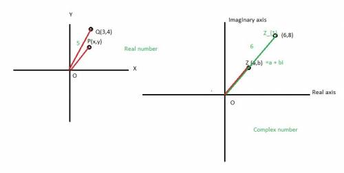 Compare and contrast the absolute value of a real number to that of a complex number