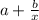 a + \frac{b}{x}