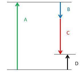 Which label shows the overall enthalpy change and is the reaction exothermic or endothermic?  a, exo