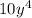 10y^4