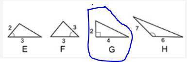Ross calculated the missing side length of one of these triangles using the pythagorean theorem. whi
