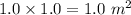 1.0\times 1.0 = 1.0\ m^{2}