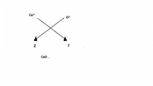 When oxygen and calcium form an ionic bond, what is the formula?  o2ca2 oca ca2o2 cao