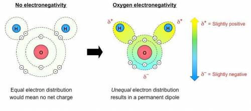 What does it mean for an atom to be electronegative?  how does this affect the shape and overall cha