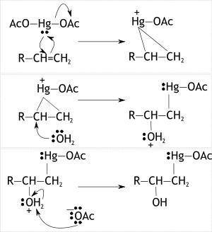 Alkenes can be converted to alcohols by reaction with mercuric acetate to form a ? -hydroxyalkylmerc