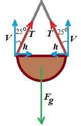 A5.6 kg flower pot is suspended by two chains from the ceiling. the chains make an angle of 25° with