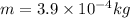 m = 3.9 \times 10^{-4} kg