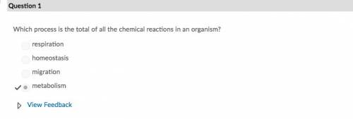 Plz  which process is the total of all the chemical reactions in an organism a.migration b.perspirat