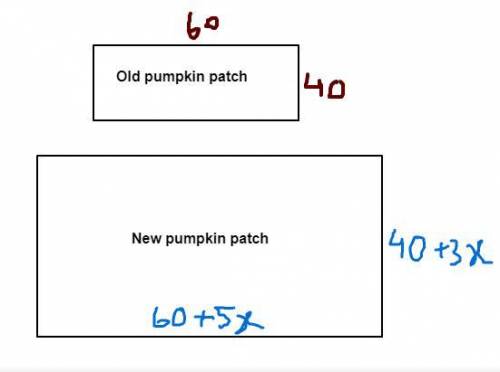 Joe wants to enlarge the rectangular pumpkin patch located on his farm. the pumpkin patch is current
