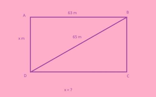 Abcd is a rectangle. what is the value of x?  rectangle with length 63 m, width x m, and diagonal 65