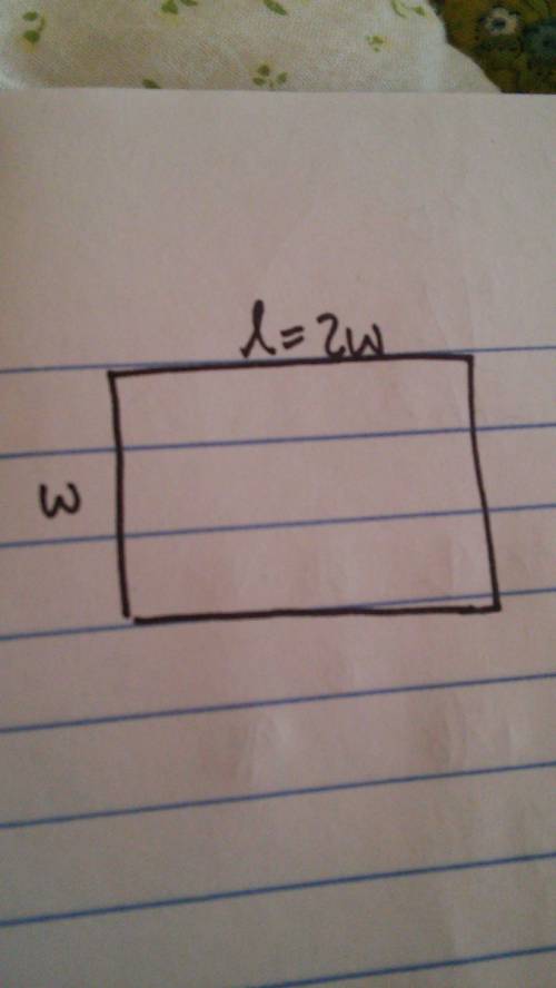 2. write an equation to solve the following. show all your work, including the steps for solving the