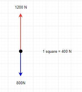 Ahot air balloon exerts a force of 1200 n while lifting a load of 800 n. which free-body force diagr