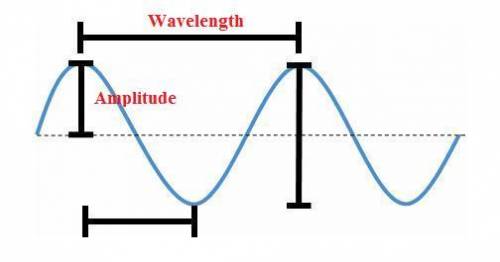 Which part of the diagram indicates the amplitude of the wave?