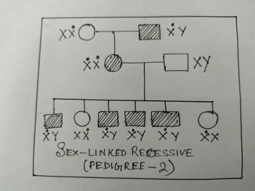 Match the pedigree to the correct type of inheritance.