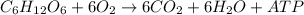 C_6 H_{12}O_6 + 6O_2\rightarrow 6CO_2 + 6H_2O + ATP