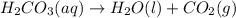 H_2CO_3(aq)\rightarrow H_2O(l) + CO_2(g)