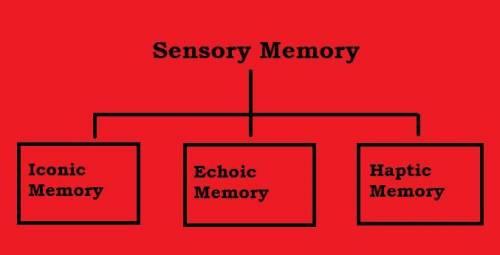 Refers to the memory system that involves holding information from the world in its original form fo