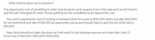 Your aunt is thinking about opening a hardware store. she estimates that it would cost $500,000 per