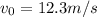 v_{0}=12.3m/s