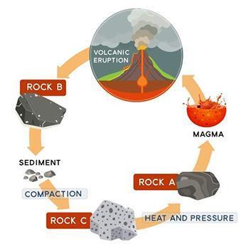 Which type of rock does b represent? igneous rock metamorphic rock rock formed by compaction rock f