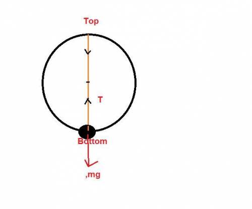 Achild whirls a ball in a vertical circle. assuming the speed of the ball is constant (an approximat